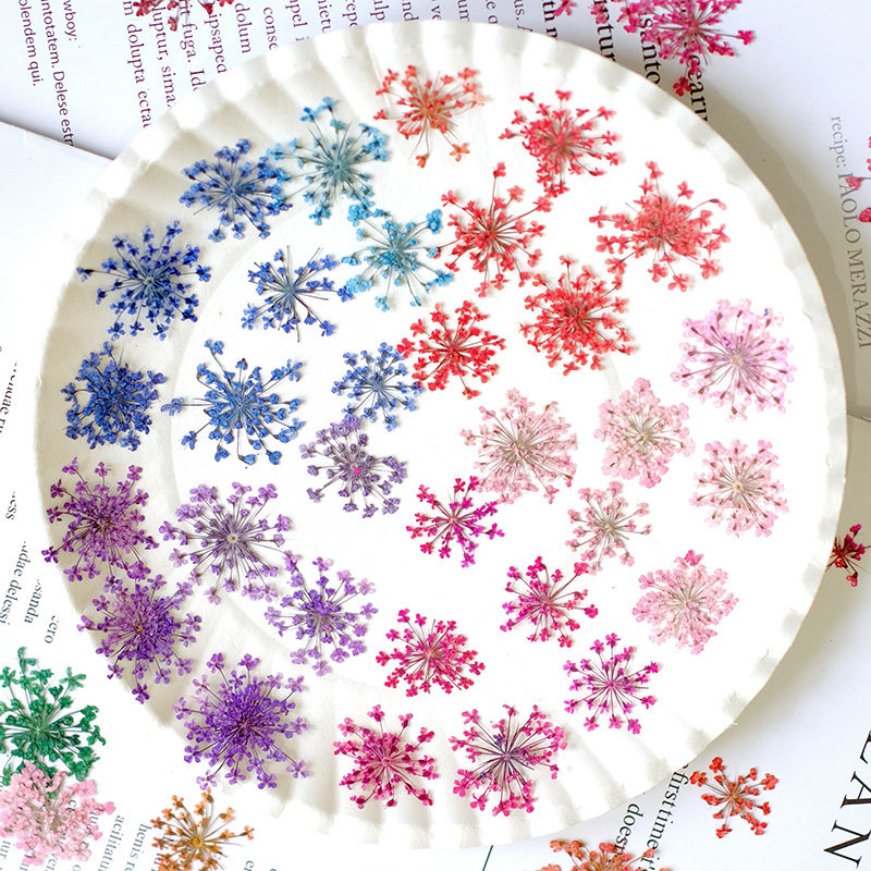 24개, 2-2.5cm, 자연 염색 미니 레이스 압화  - Resin Art Photo Frame 리뷰 및 가격